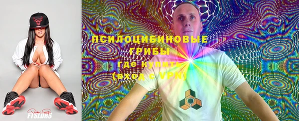 первитин Белокуриха