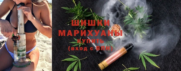 шишки Балахна