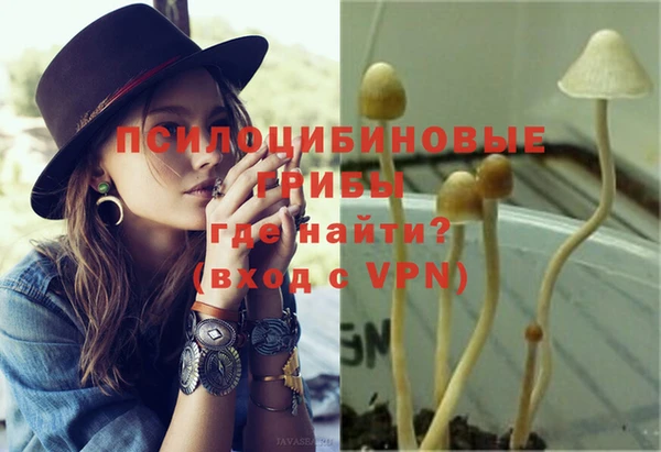 героин Богданович