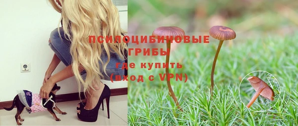 первитин Белокуриха