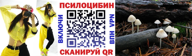 Псилоцибиновые грибы Cubensis  Балашов 